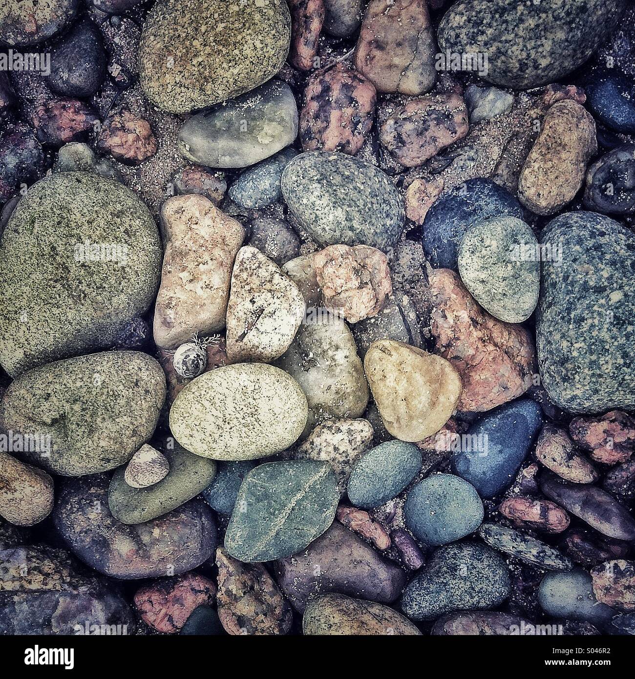 Colored stones background near river - Smartphone Captured Stock Image