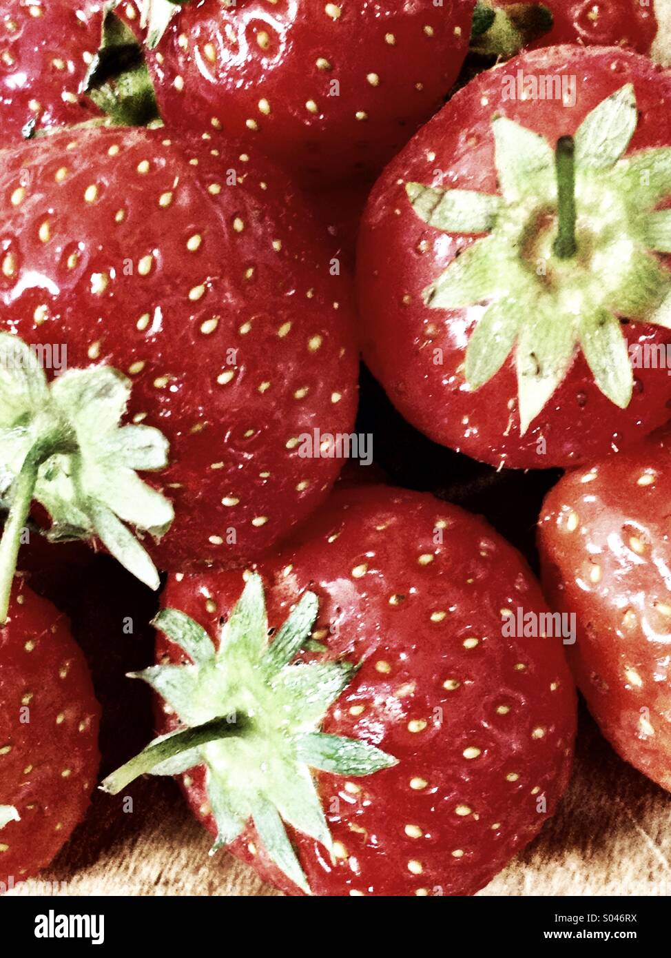 Strawberry Stock Photo Alamy