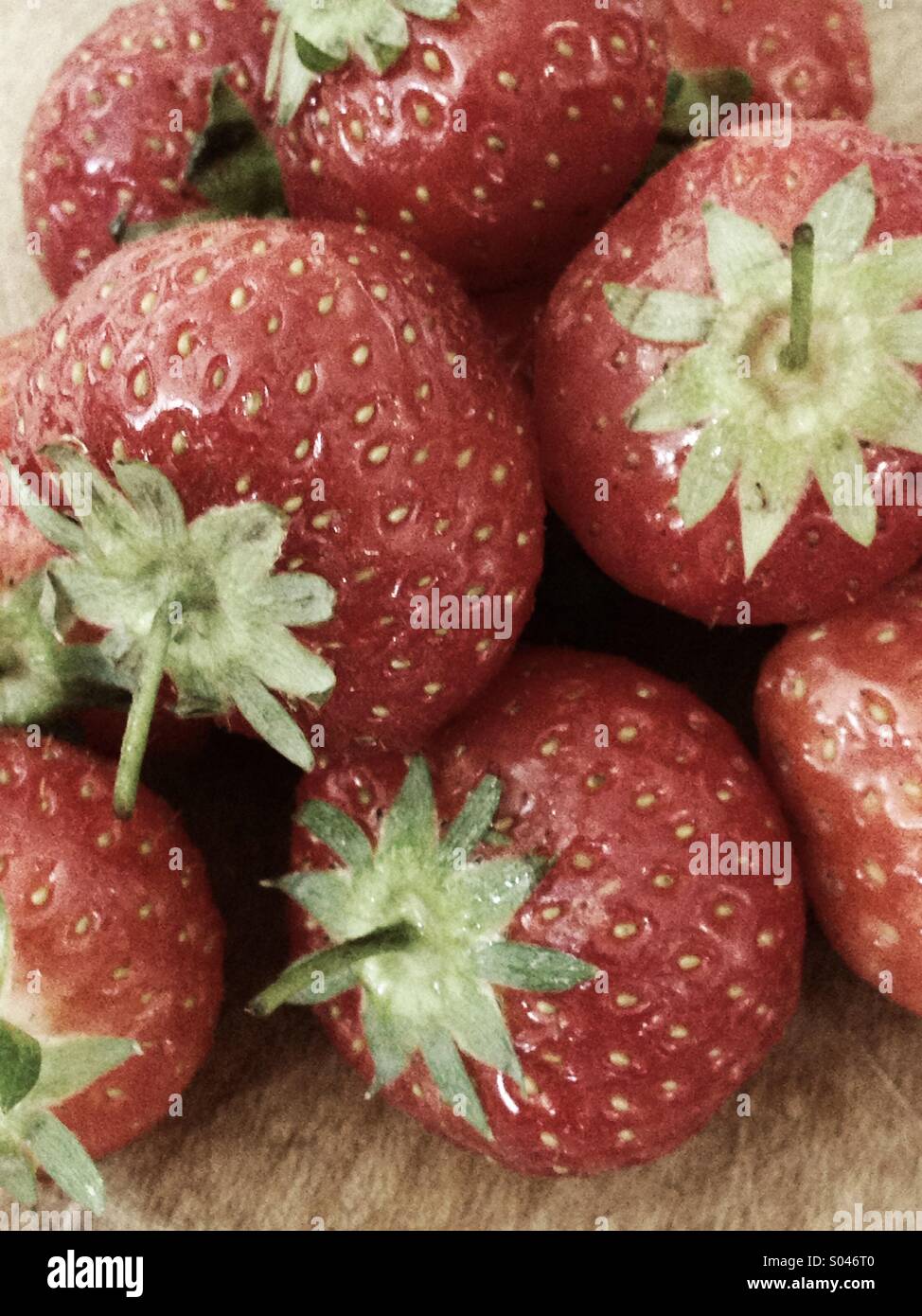 Subtle strawberry Stock Photo