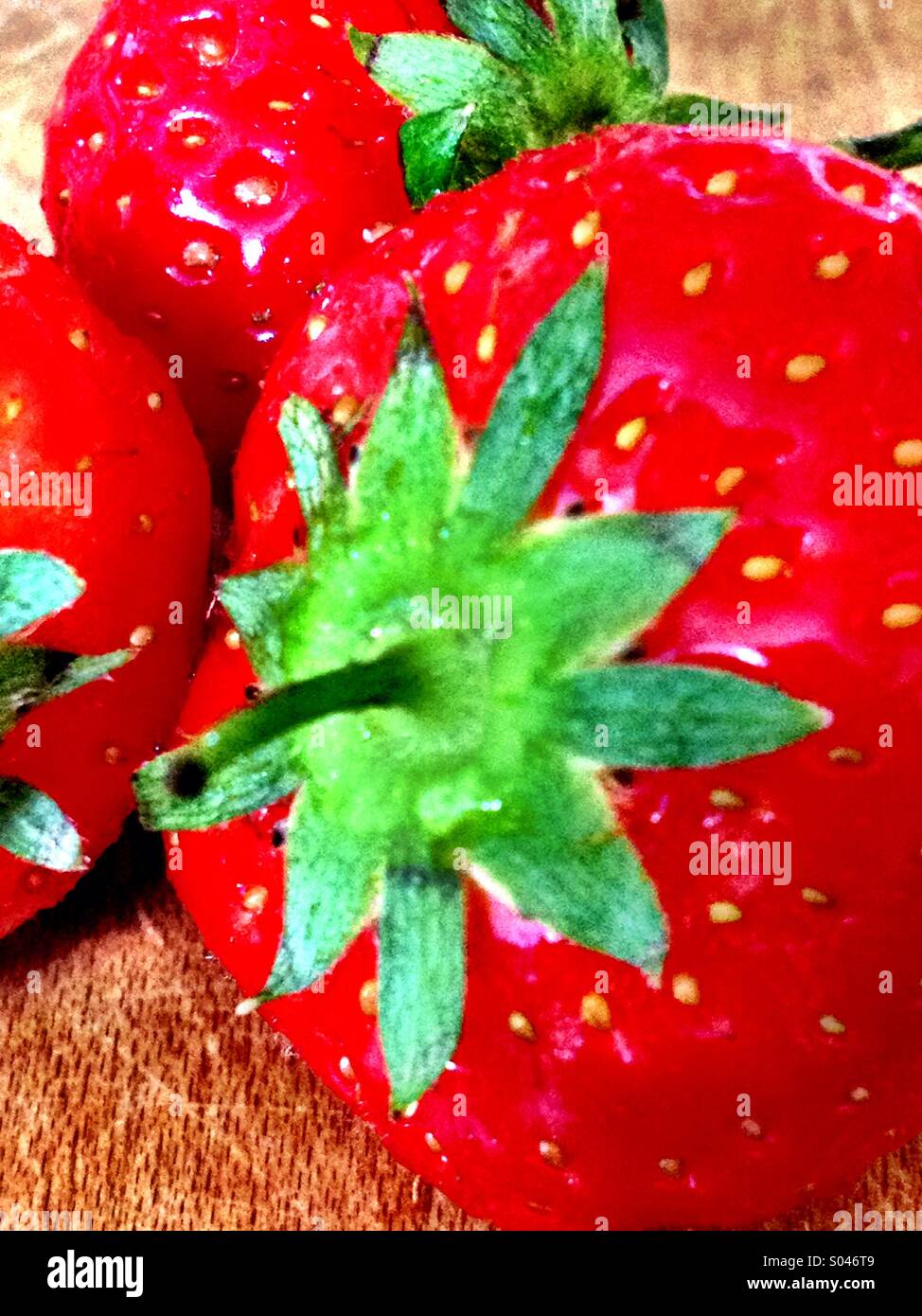 Red and Green - Smartphone Captured Stock Image