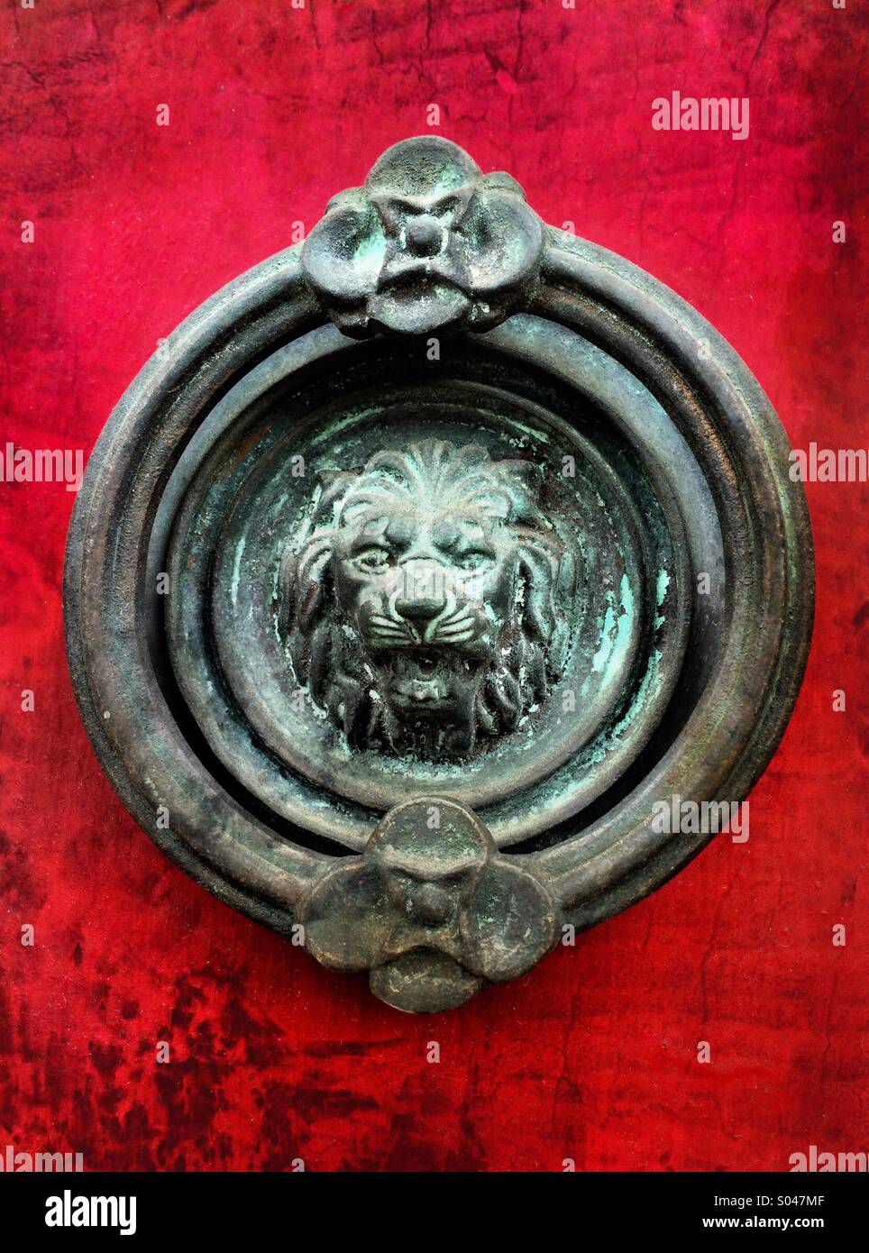 Am old copper door knocker of a lion's head is a strong contrast to a red door. Stock Photo