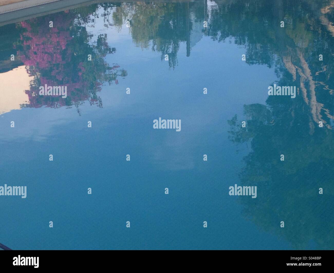 Reflections of trees and flowers in pool of water Stock Photo - Alamy