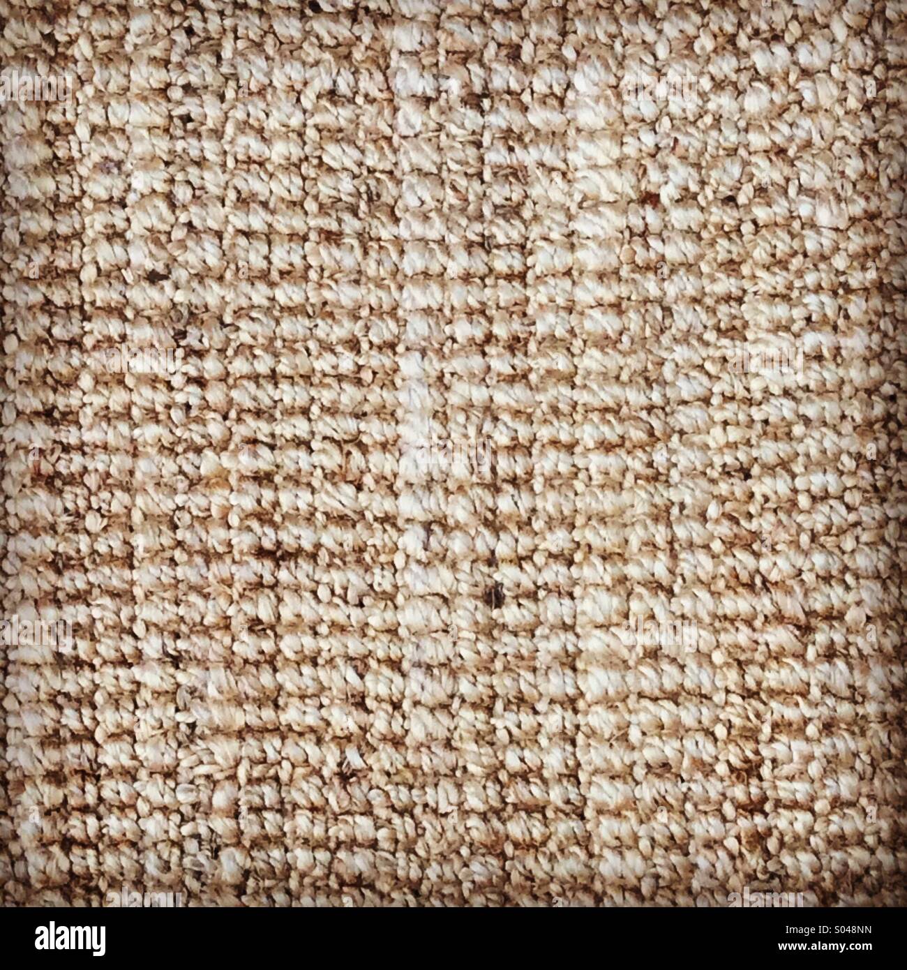 Full frame close up texture of sea grass type floor covering. Mobile phone photo with some phone or tablet post processing. - Smartphone Captured Stock Image