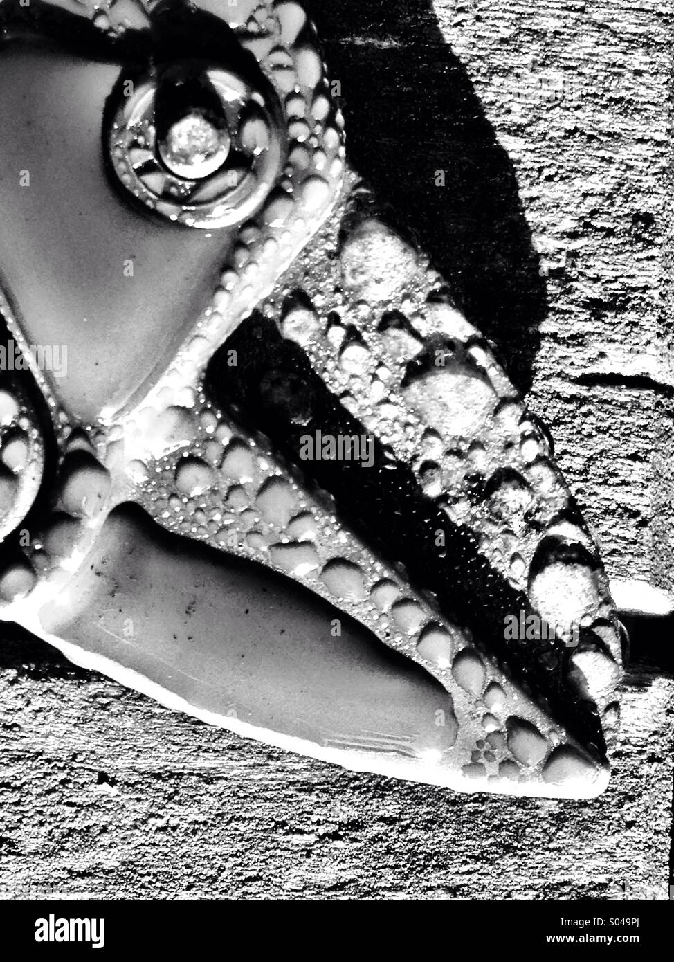 Morning dew on garden secateurs - Smartphone Captured Stock Image