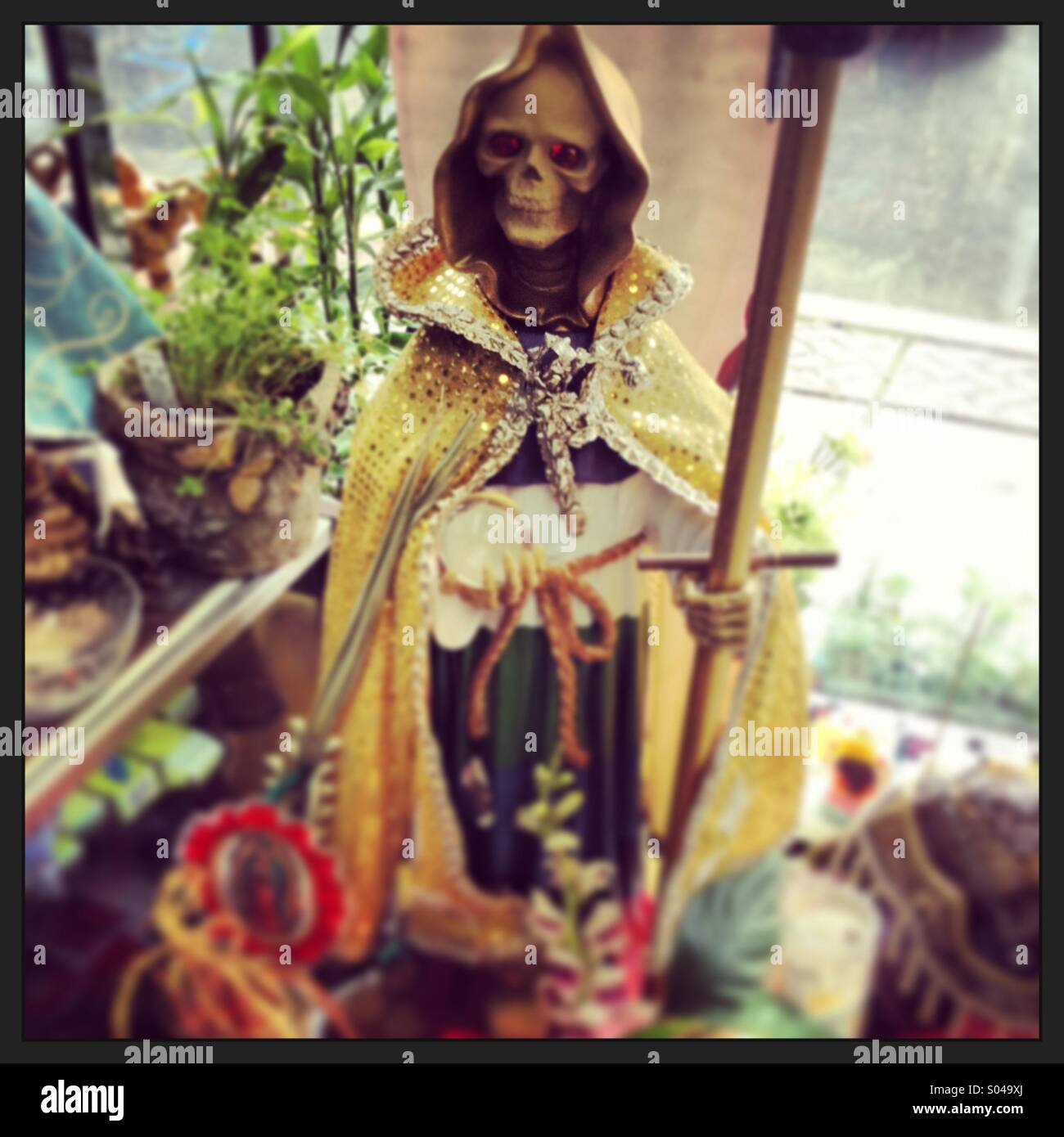 Statue of skeleton in robe inside Botanica store - Smartphone Captured Stock Image