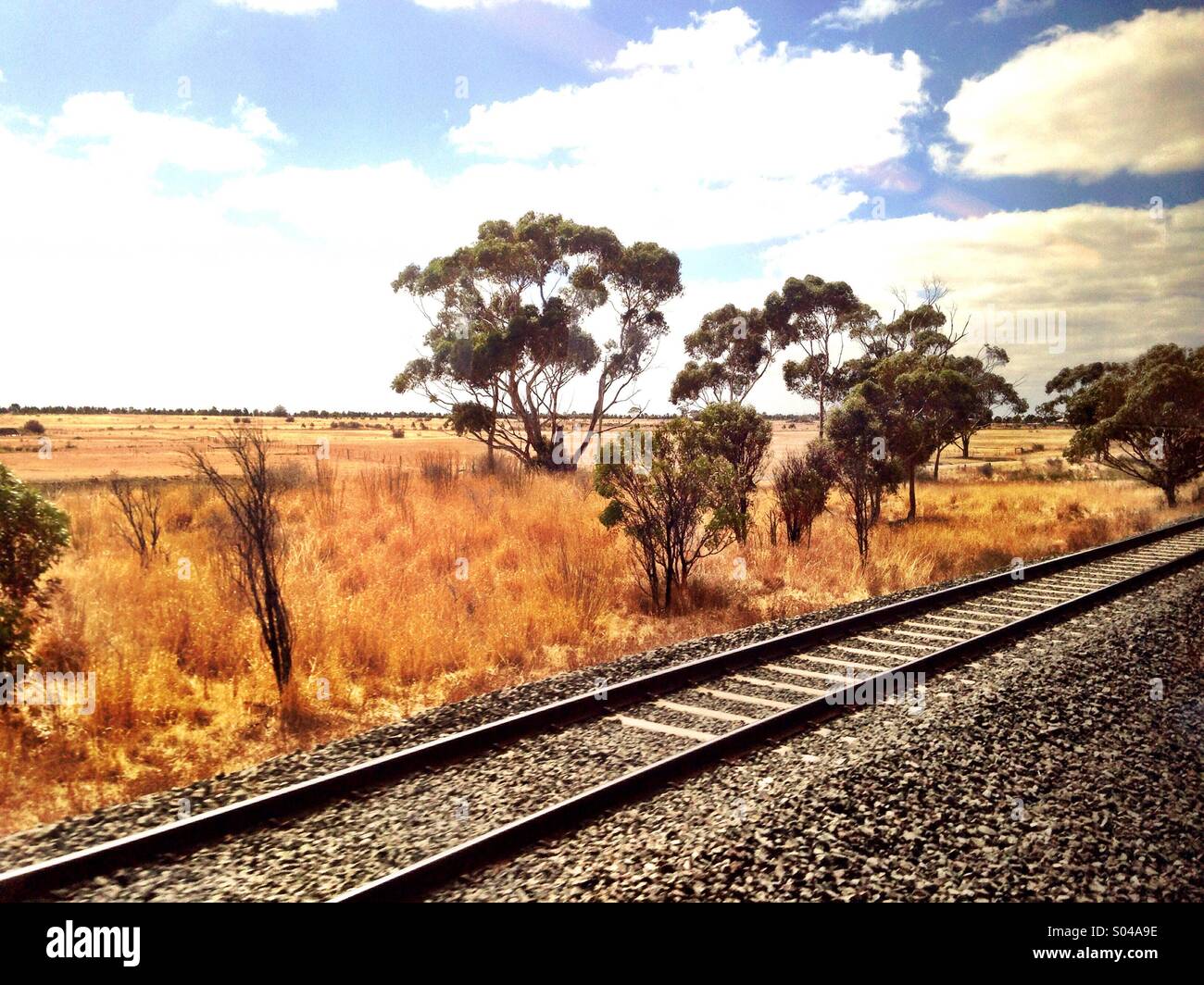 Australian Bush from a train Stock Photo