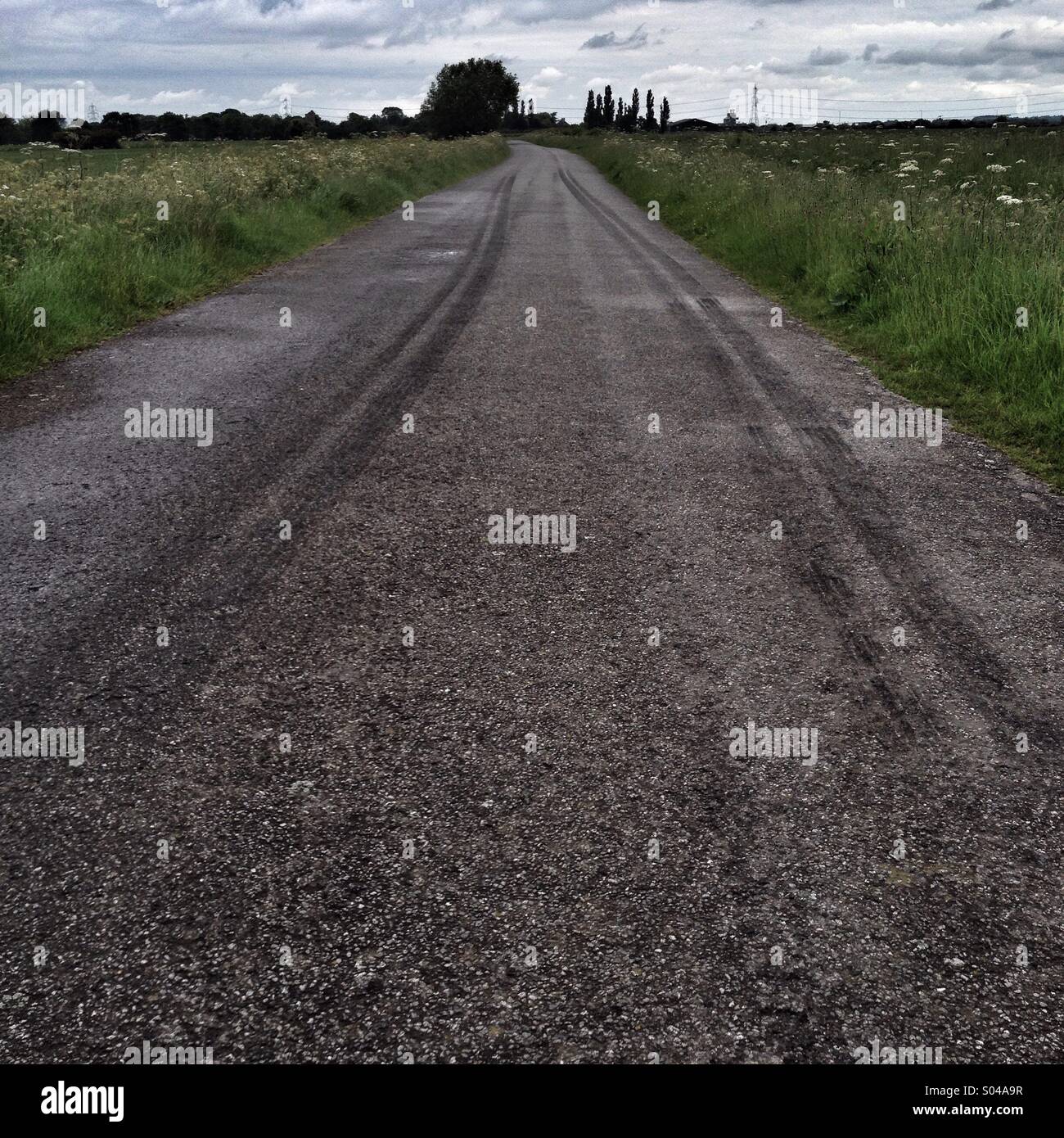 Skid marks on lonely road Stock Photo