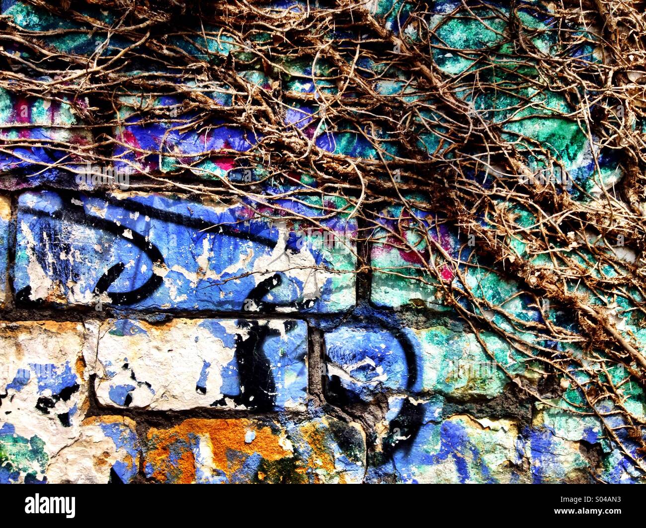 Ivy vines reclaim a graffiti wall - Smartphone Captured Stock Image