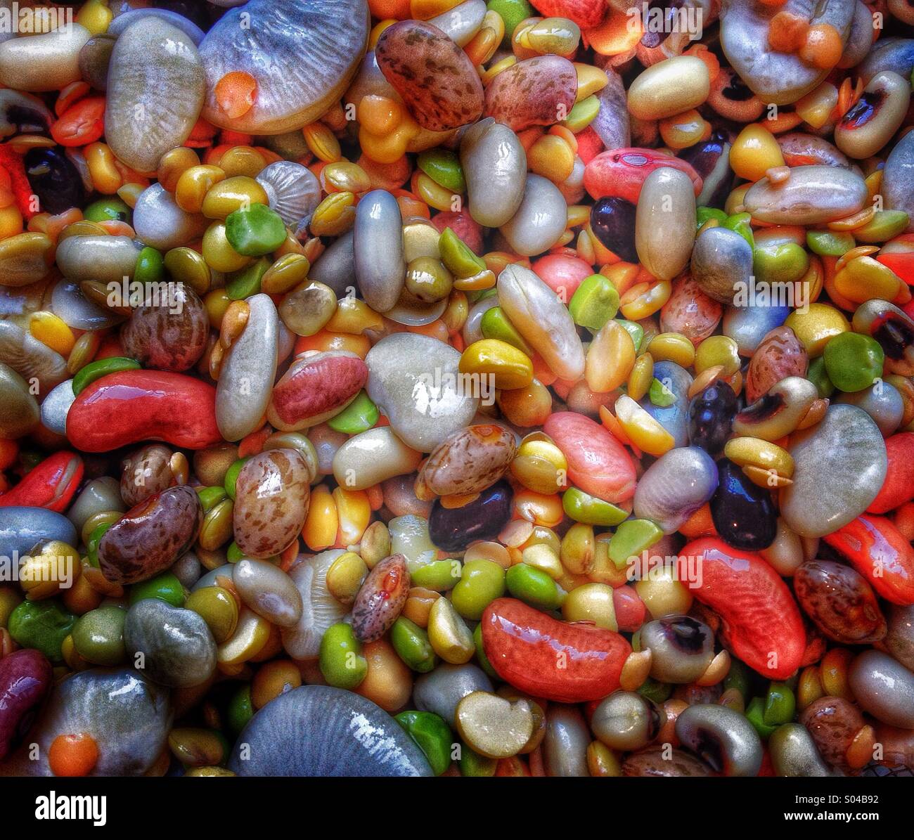 Beans, beans the musical fruit Stock Photo Alamy