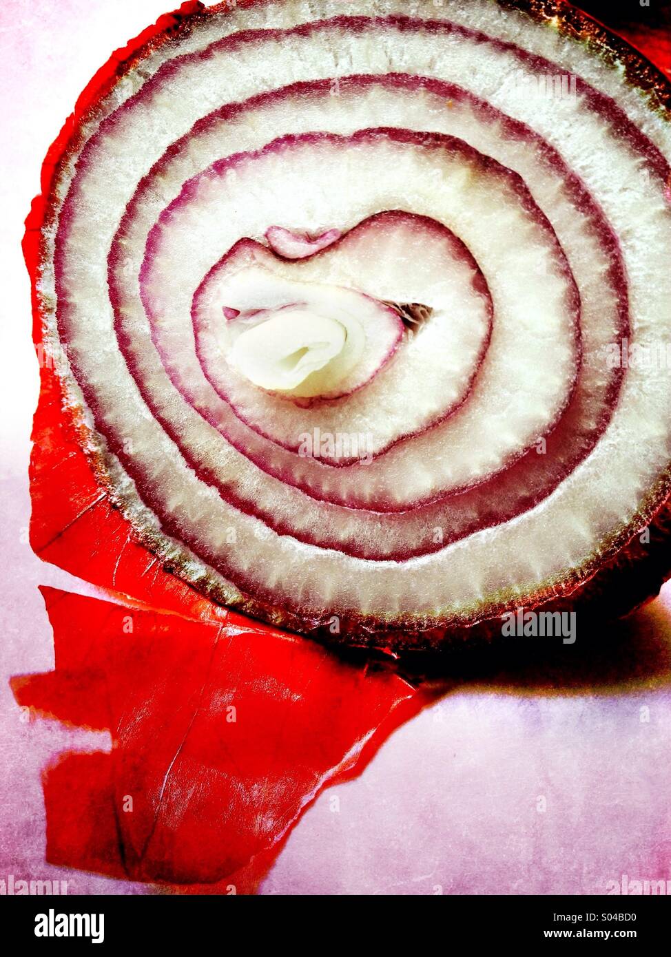 Sliced red onion - Smartphone Captured Stock Image