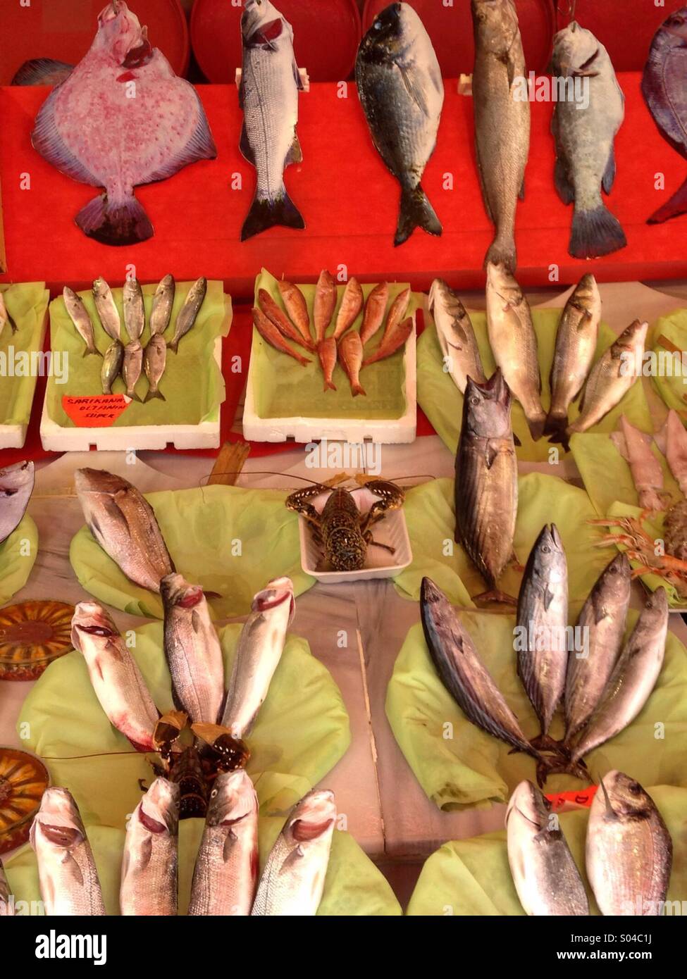 Fresh fish for sale in a market - Smartphone Captured Stock Image