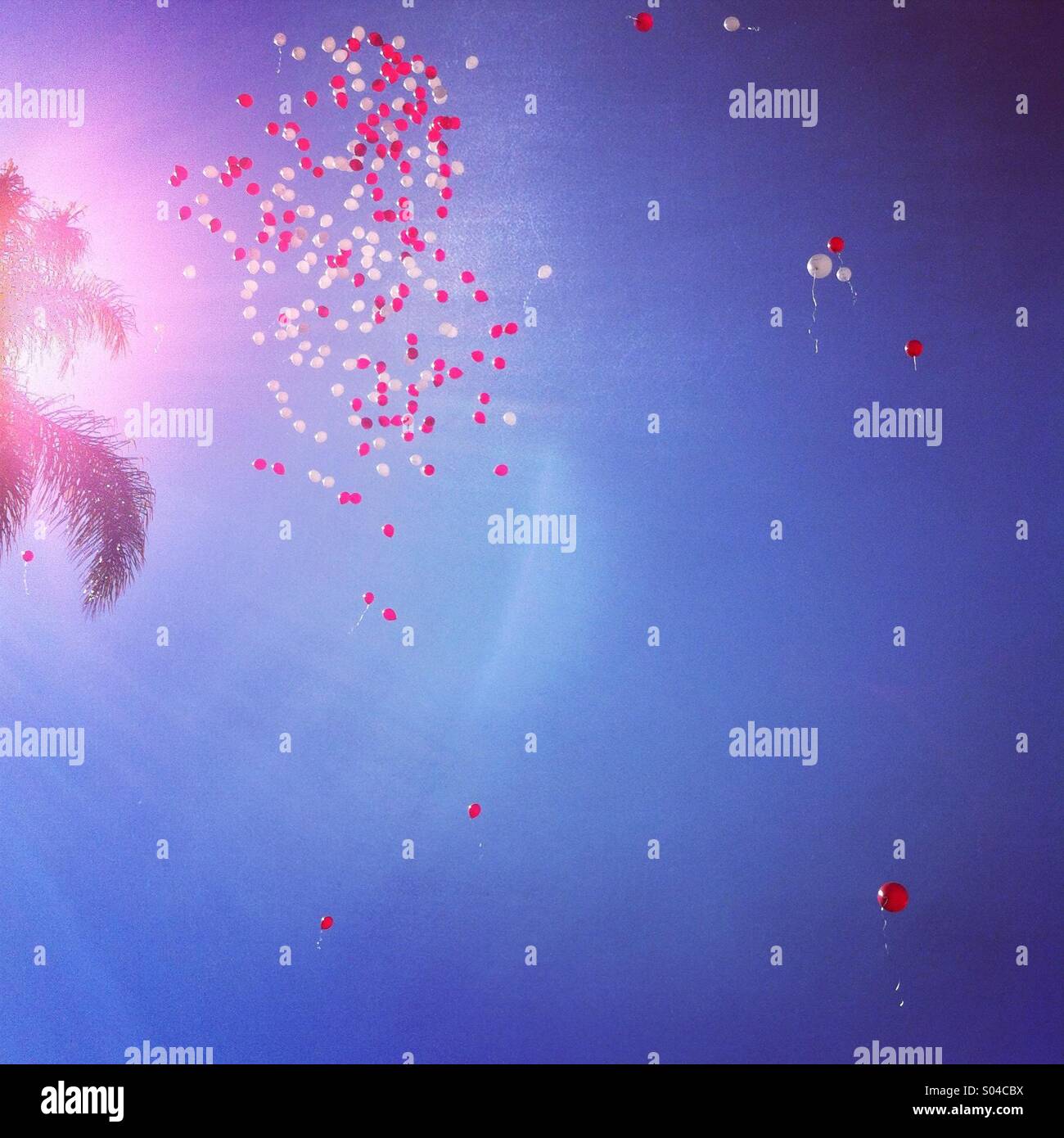 Release balloon hi-res stock photography and images - Alamy