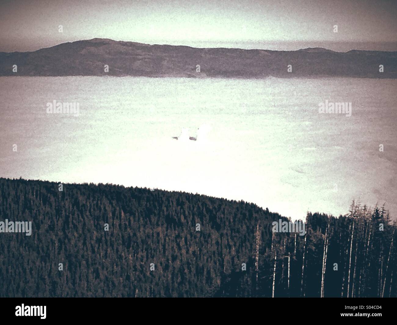 Fog in winter, View from Vitosha, Bulgaria - Smartphone Captured Stock Image