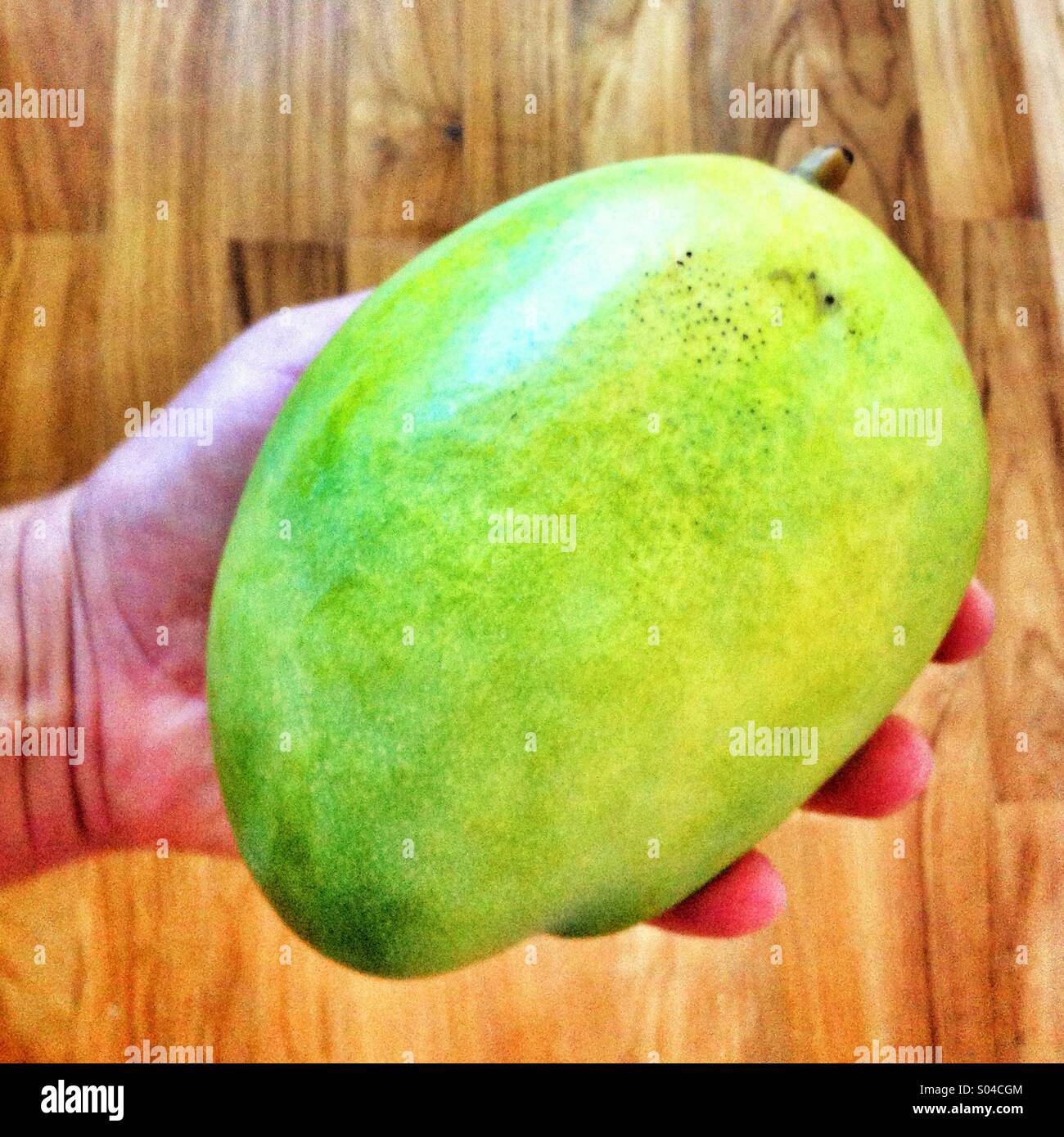 Large mango hi-res stock photography and images - Alamy