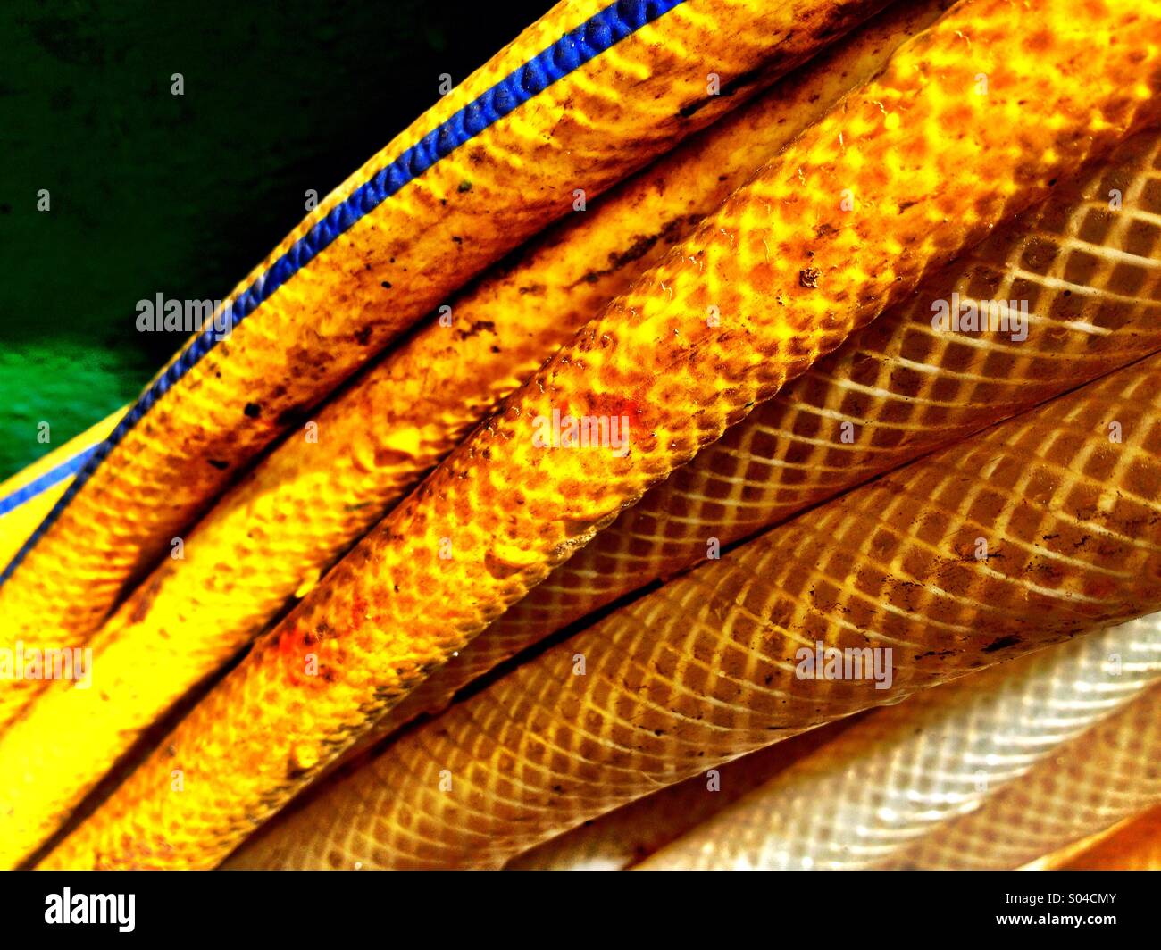 Hosepipe - Smartphone Captured Stock Image