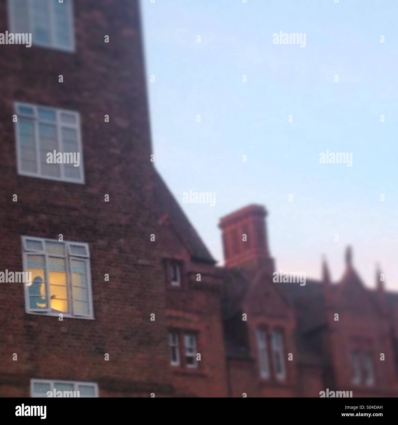 The mystery in the window - Smartphone Captured Stock Image