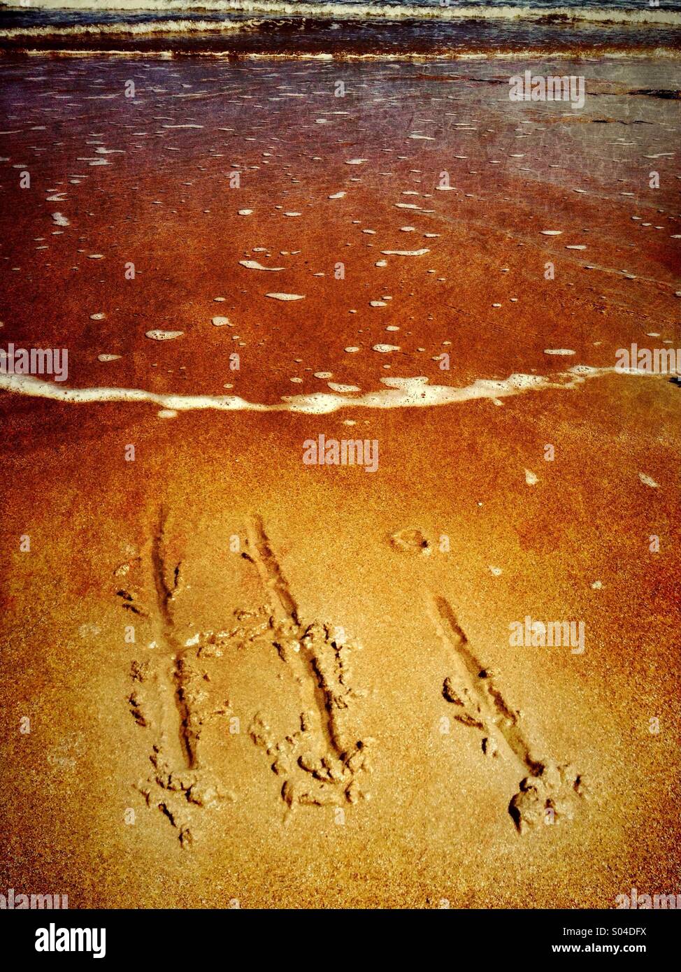 Hi written in sand - Smartphone Captured Stock Image