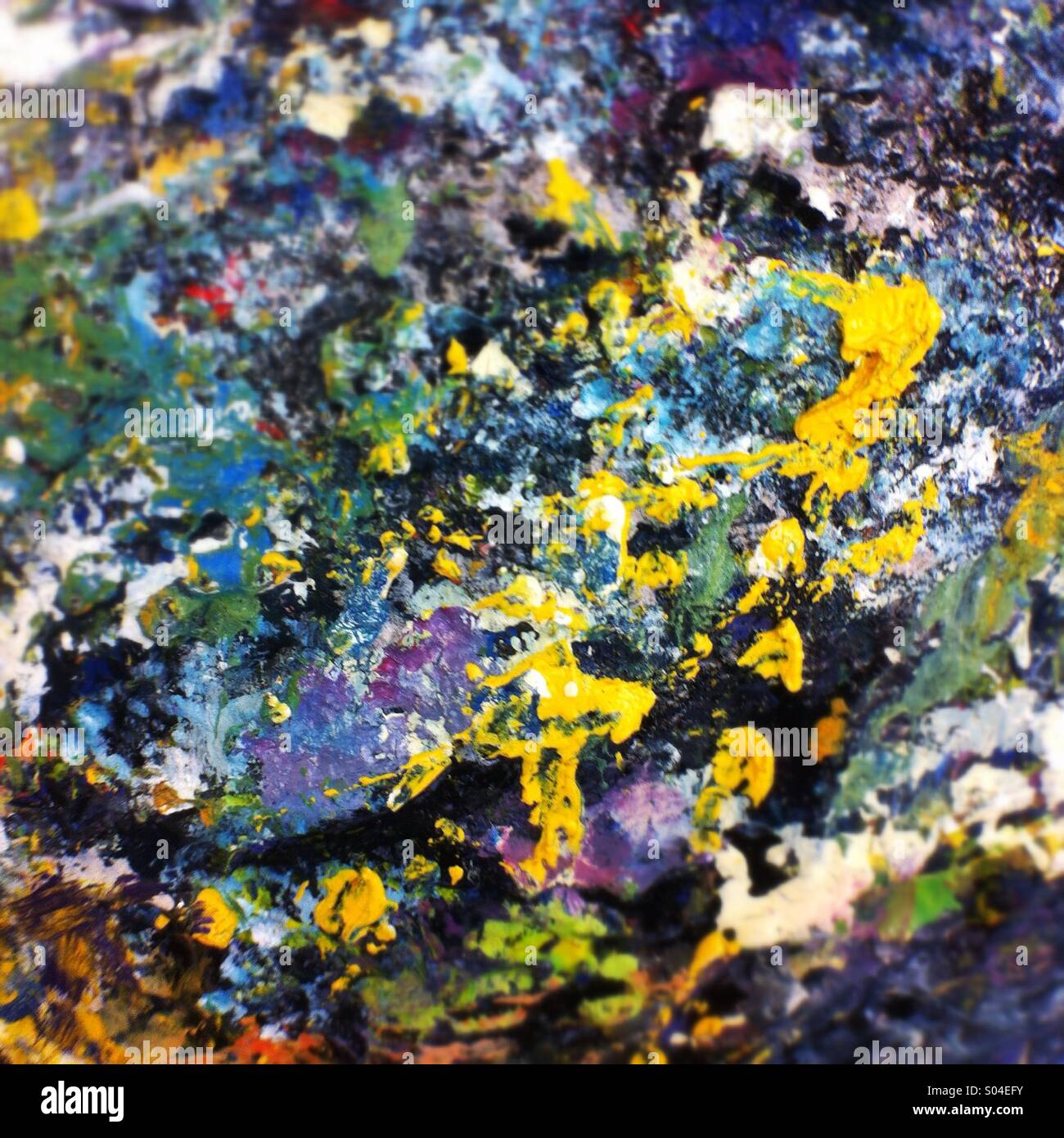 Artist paint pallet detail shot - Smartphone Captured Stock Image