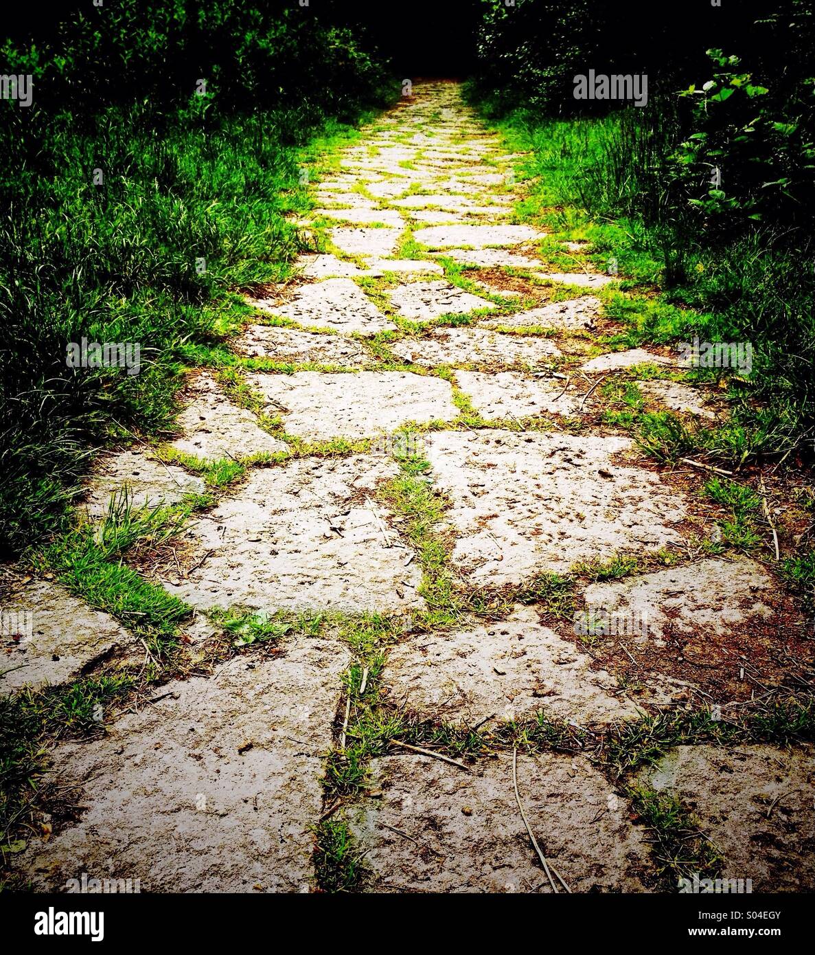 Stone path with grass growing between slabs Stock Photo
