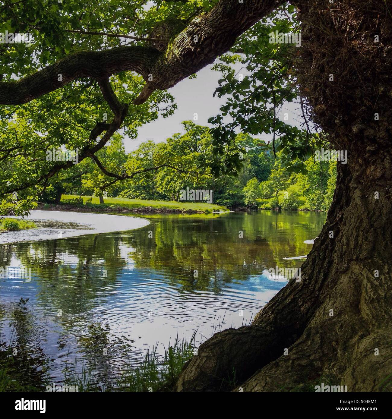 Horseshoe falls on the river dee hires stock photography and images
