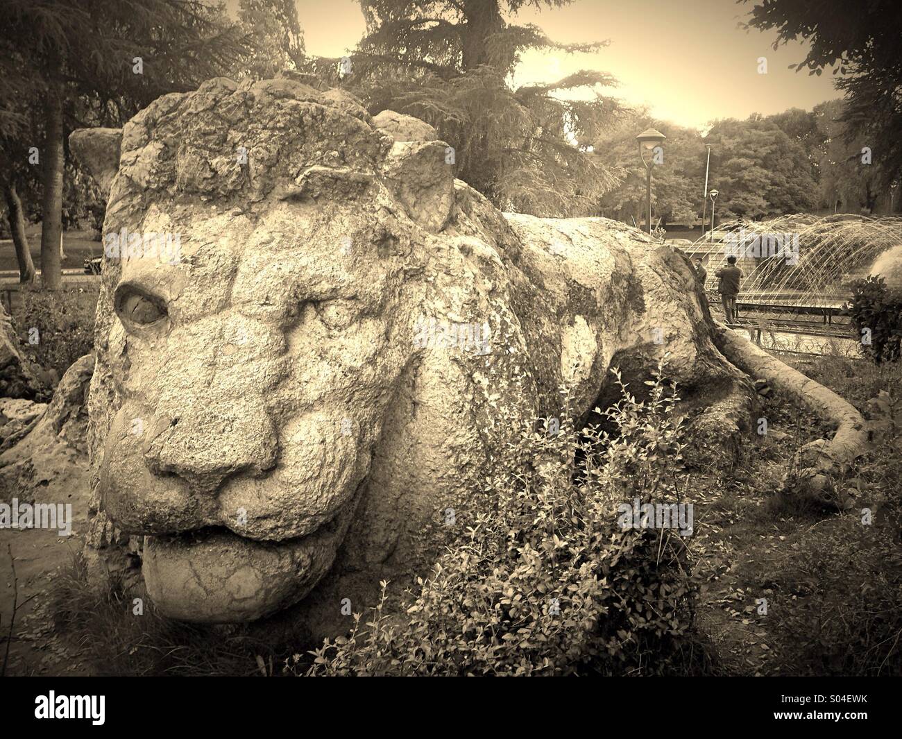 Symbol of Ifrane, Morroco - Smartphone Captured Stock Image