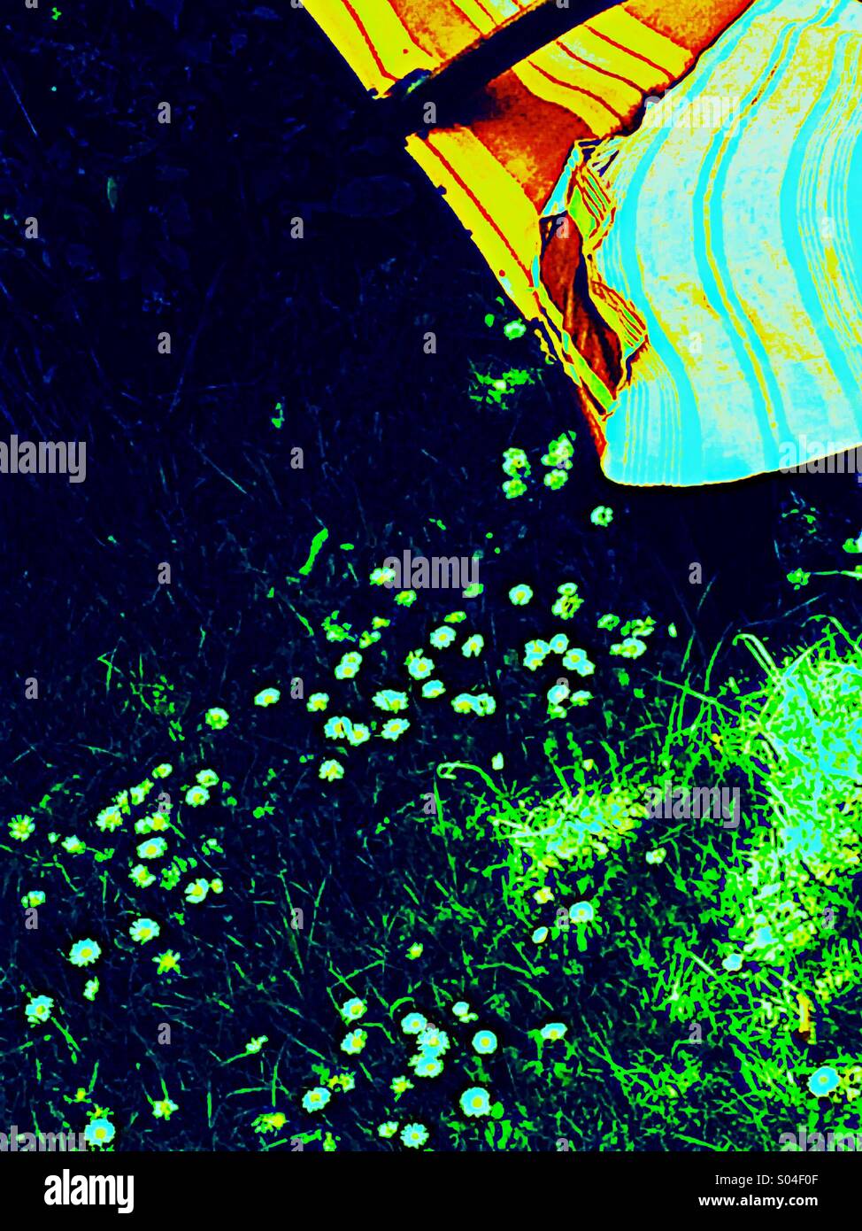 Retro armchair in garden in summer - Smartphone Captured Stock Image