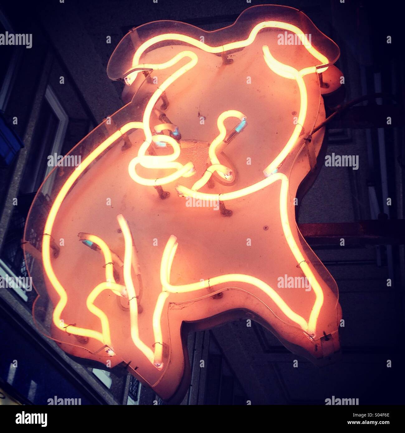 Pink neon pig sign Stock Photo