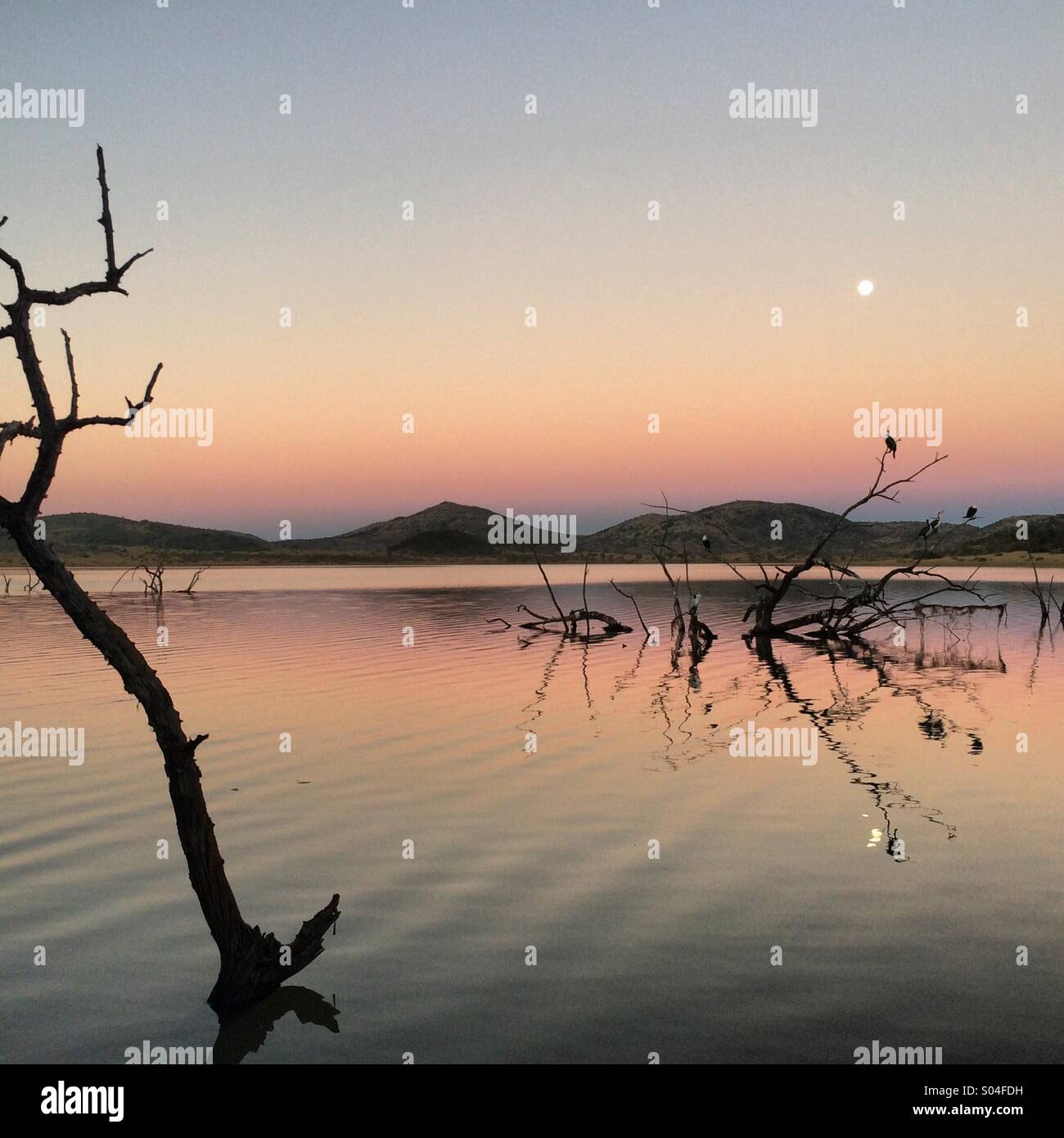 South Africa Full Moon Stock Photo Alamy