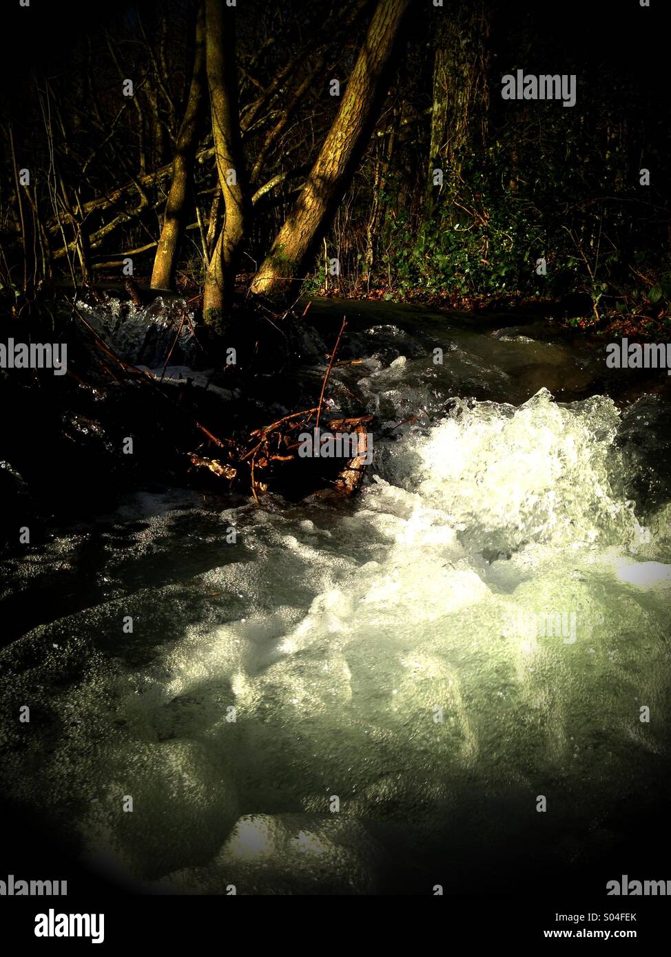 Rushing water: stream with high water levels in winter sun. Stock Photo