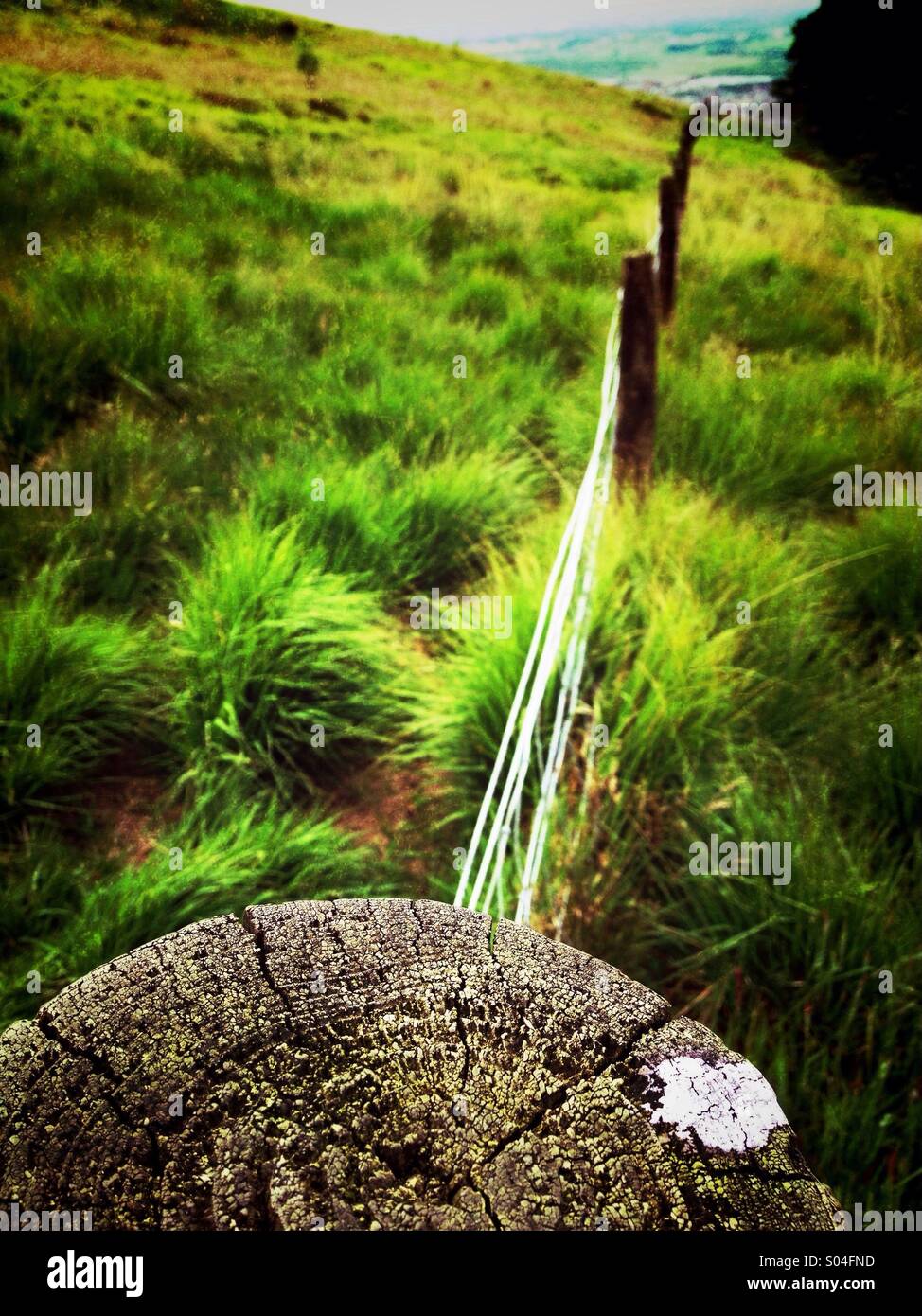 Fence and post on Rivington moors, Lancashire - Smartphone Captured Stock Image