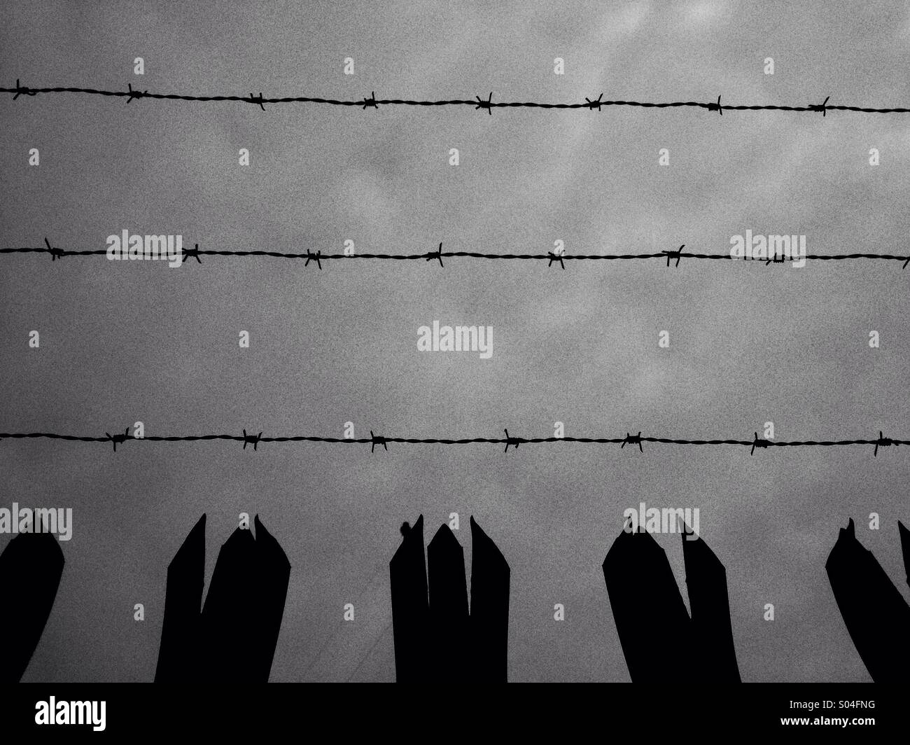 Security fencing - Smartphone Captured Stock Image