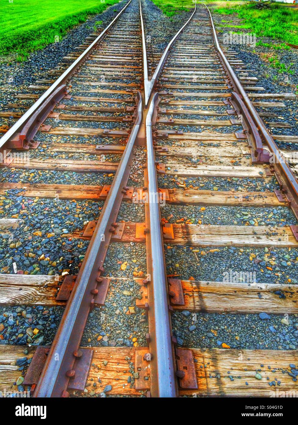 Railroad tracks divide. Stock Photo