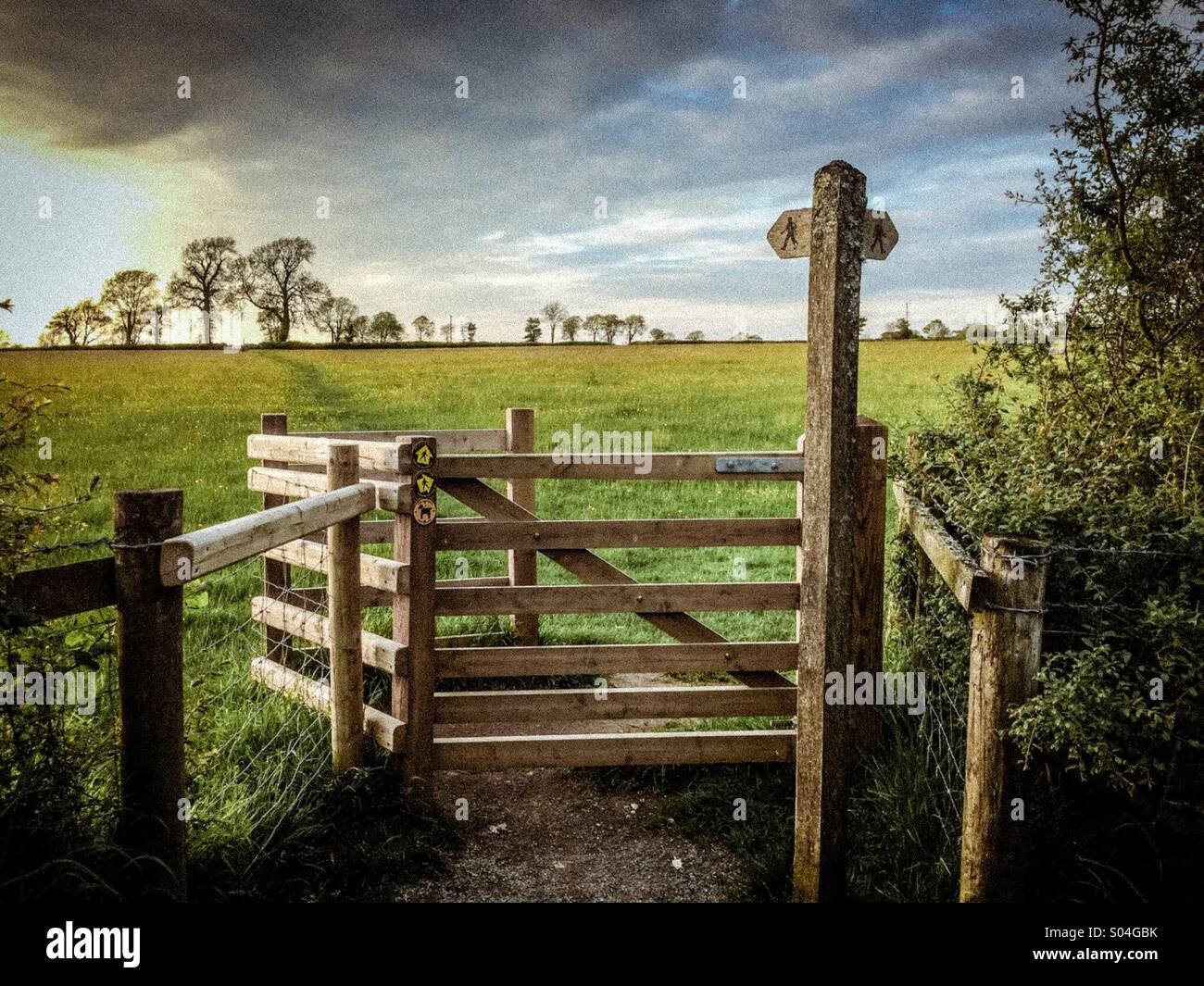 A walk in the country - Smartphone Captured Stock Image