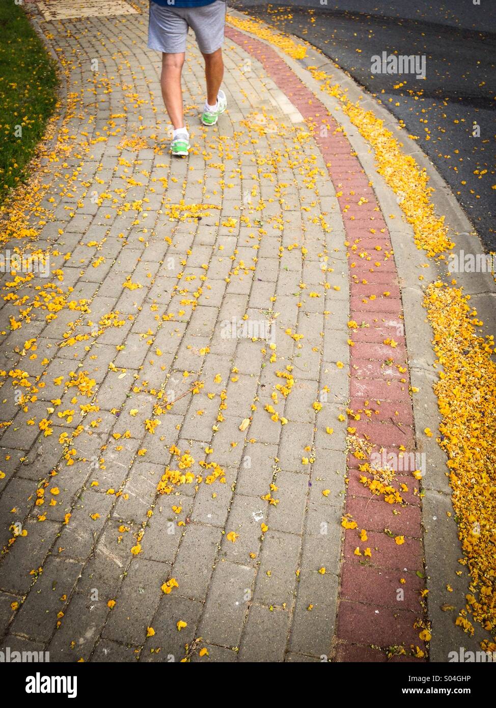 Walking on pavement hires stock photography and images Alamy