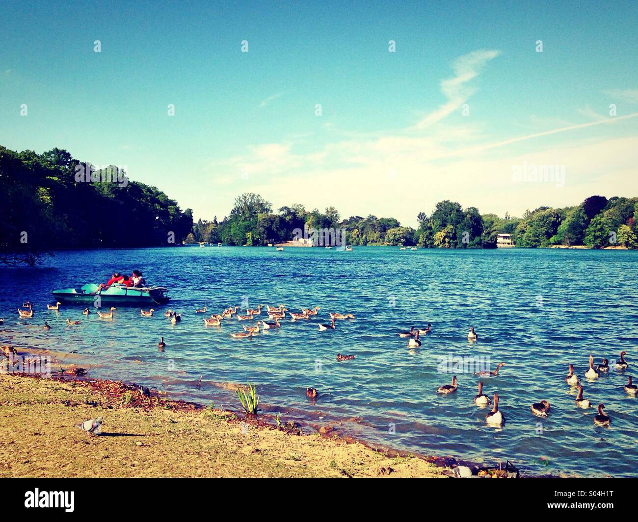 Relaxing afternoon, Park of the Golden Head,Lyon,France - Smartphone Captured Stock Image