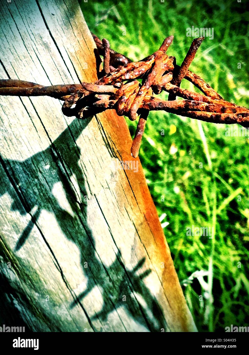 Fencing - Smartphone Captured Stock Image