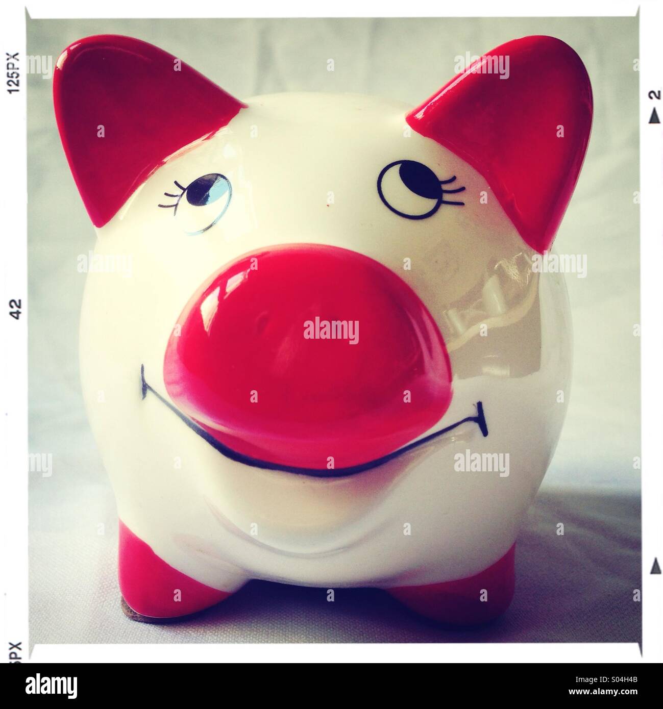 Happy pig - Smartphone Captured Stock Image