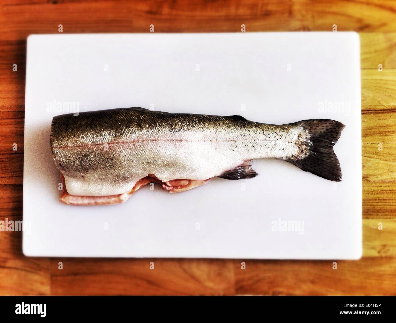 Rainbow trout fish on a white chopping board. - Smartphone Captured Stock Image