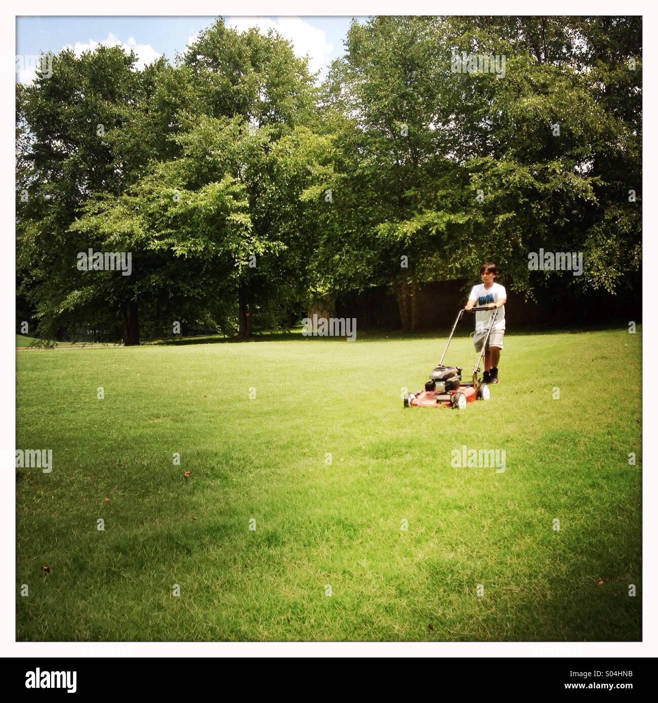 Boy cutting grass Stock Photo Alamy