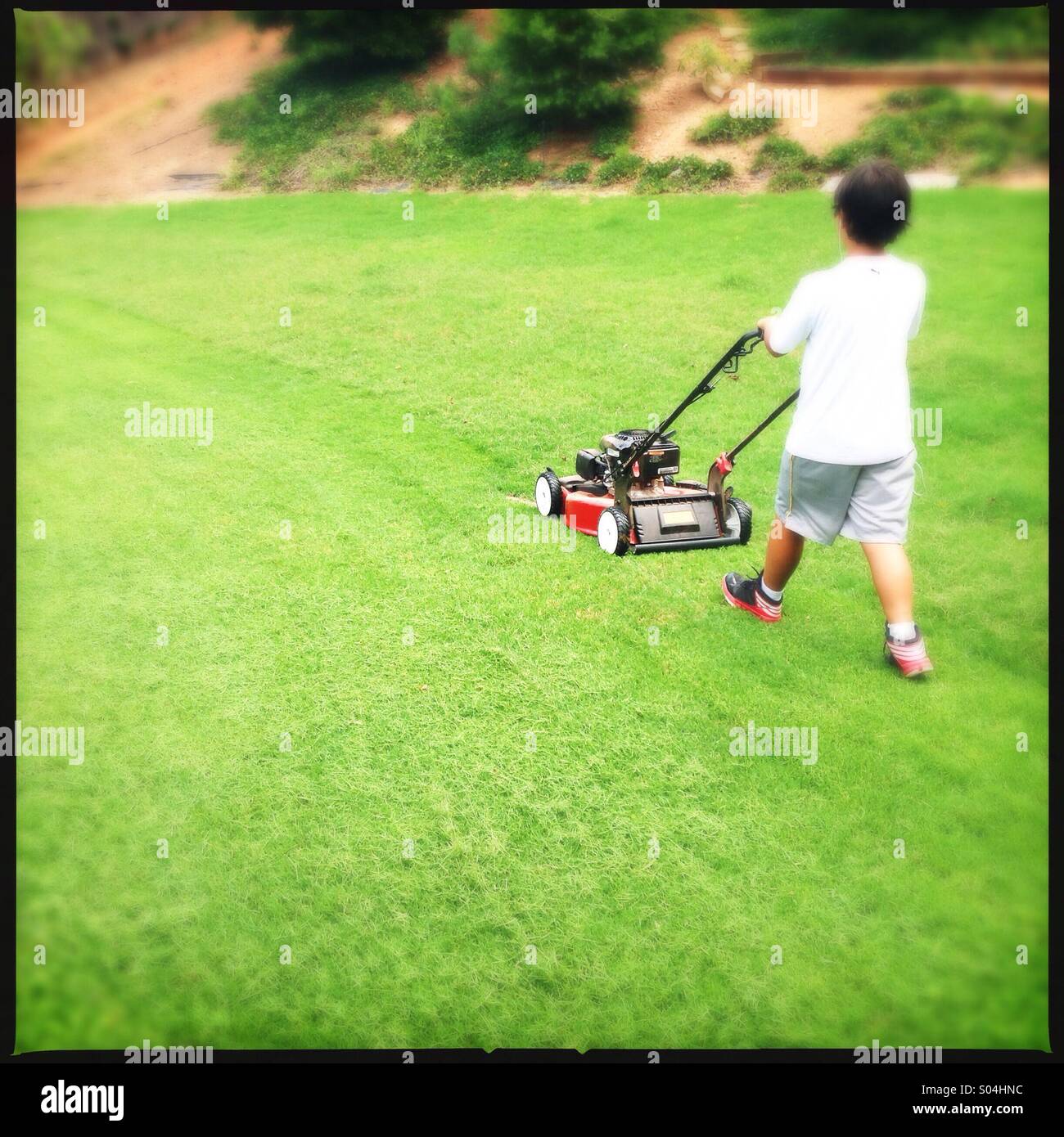 Little boy cutting grass Stock Photo