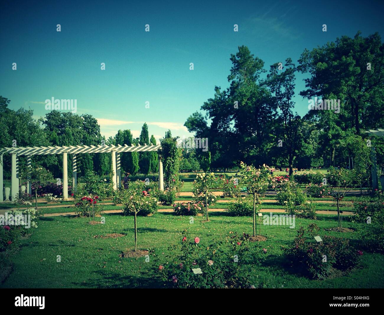 Park of the Golden Head,Lyon - Smartphone Captured Stock Image