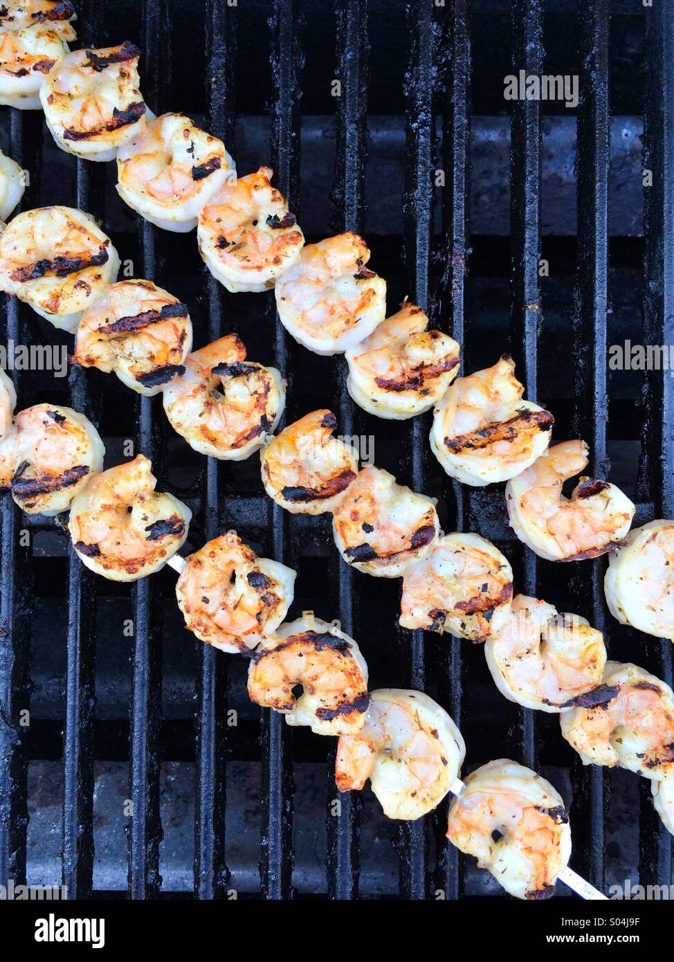 Diagonal rows of grilled shrimp on skewers Stock Photo