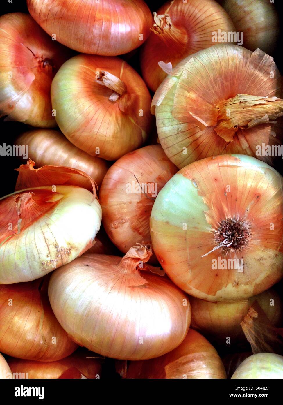 Onions - Smartphone Captured Stock Image
