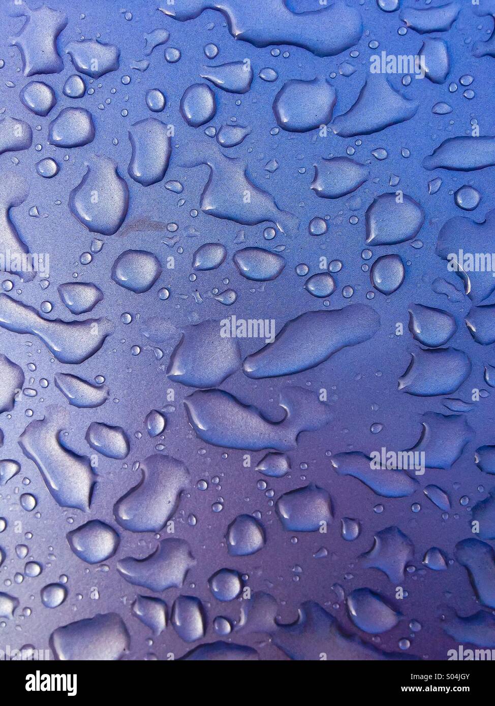 Rain drops on a violet surface - Smartphone Captured Stock Image