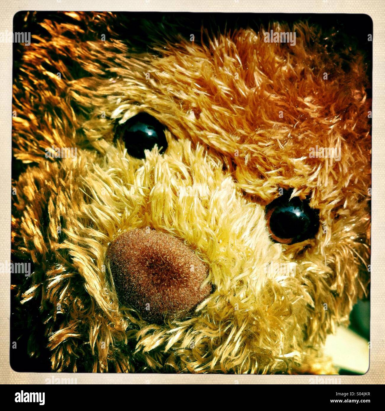 Childs play with the bear hi-res stock photography and images - Alamy