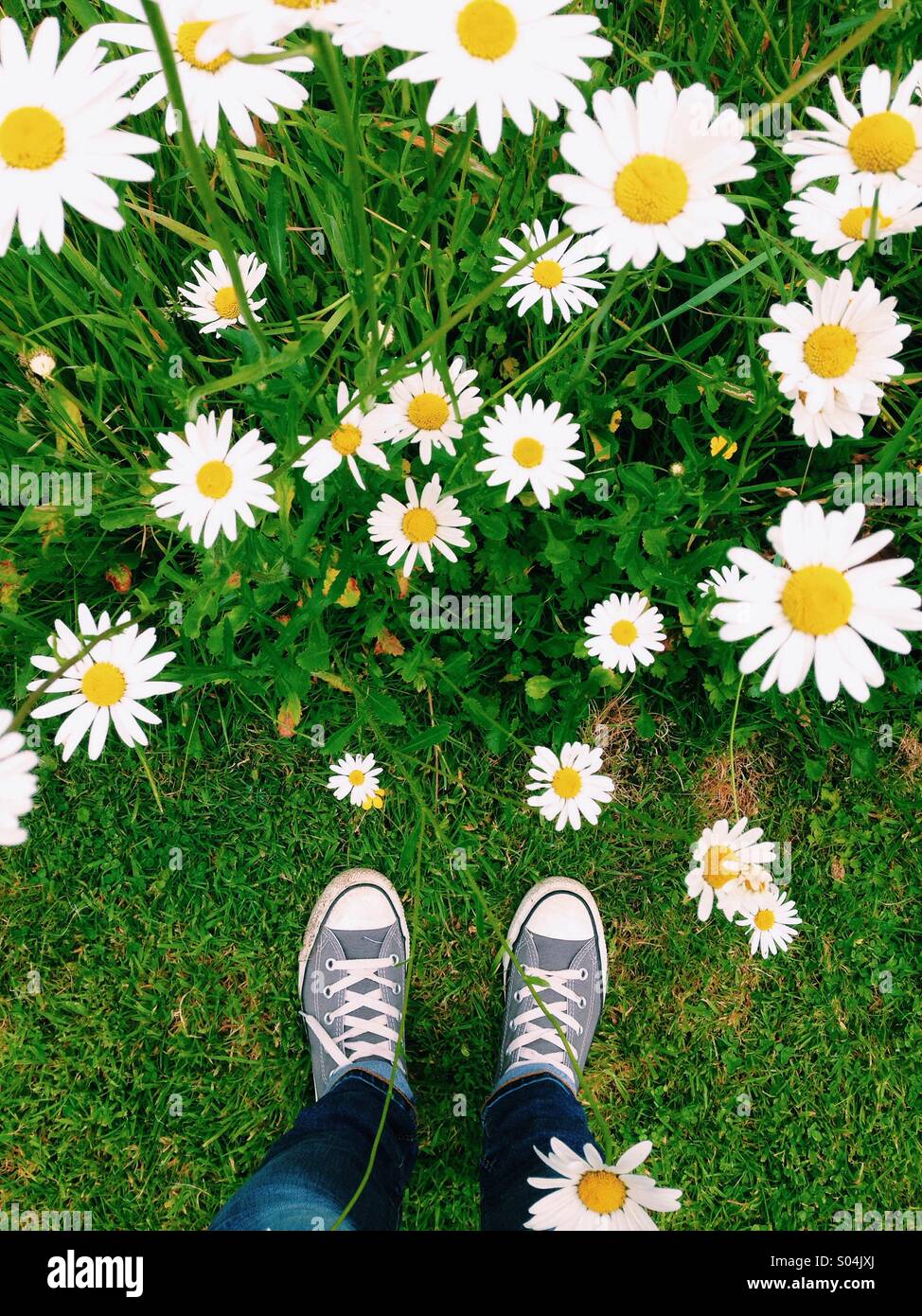 Standing in front of daisys Stock Photo