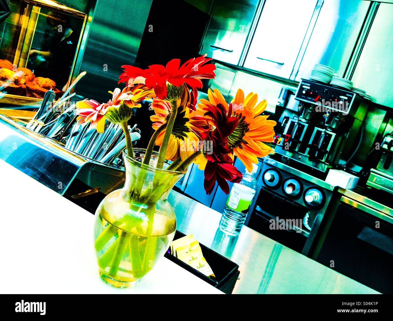 Gerber Daisies; a colorful focal point in any kitchen - Smartphone Captured Stock Image