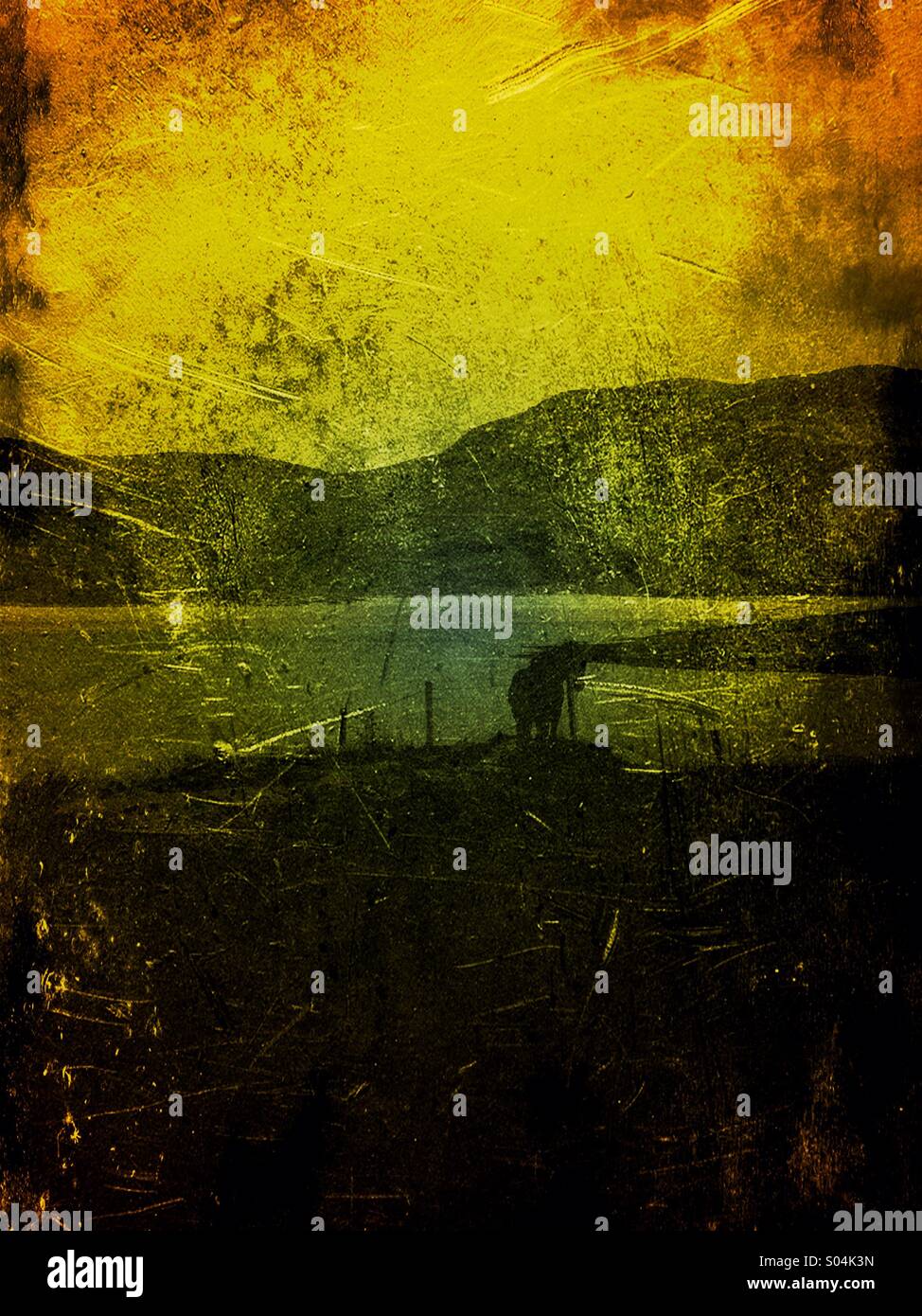 Landscape Western Shore - Smartphone Captured Stock Image