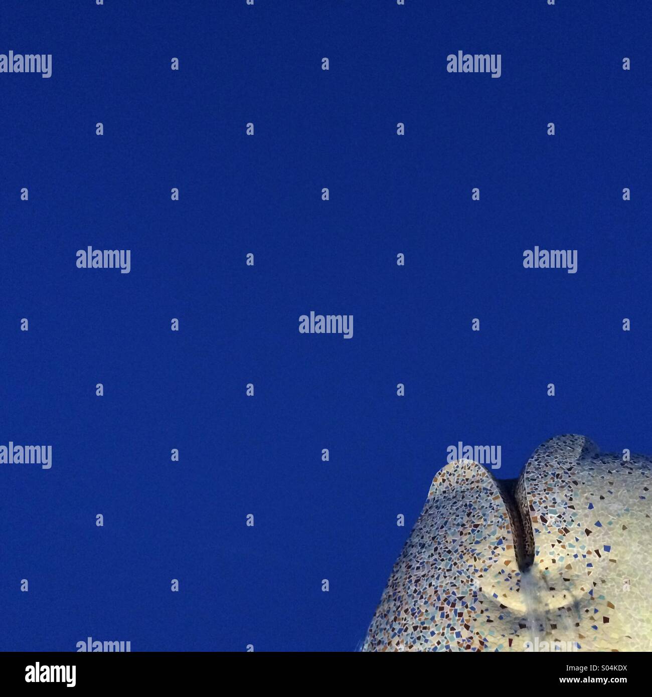 Fish in Grao de Castellón, Spain - Smartphone Captured Stock Image