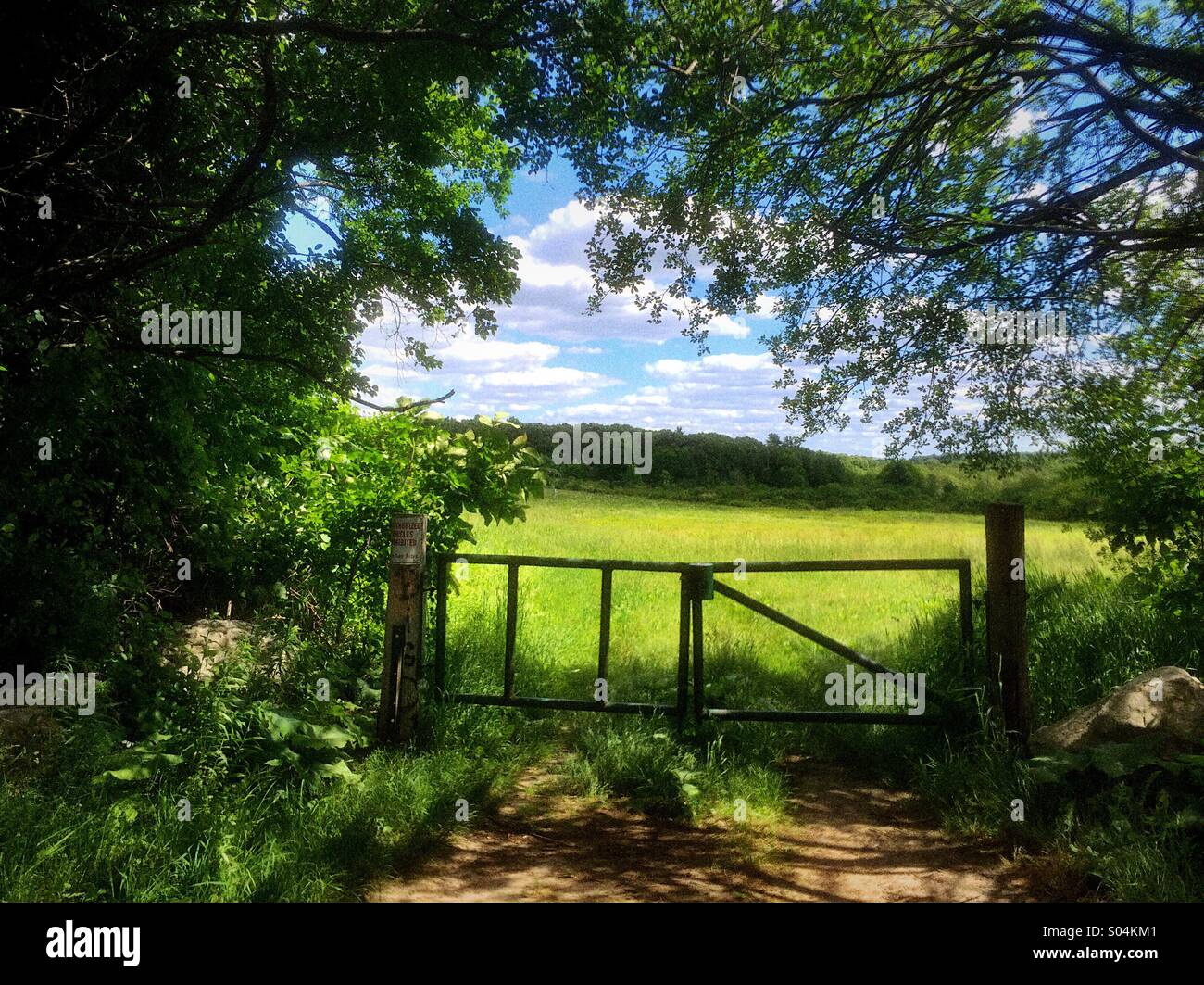 Gateway to paradise, gate leads to an open field, past trees Stock